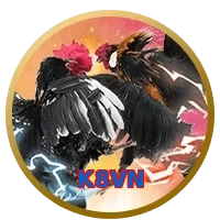 K8VN